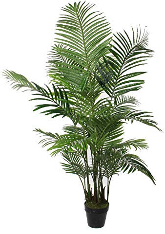 MICA DECORATIONS Areca Palme in - Vaso da Fiori, 160 x 80 cm, Colore: Verde
