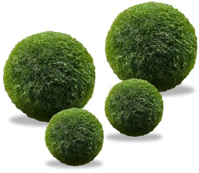 LuckyOpt 4 bolas verdes de alga en vivo, naturales para acuario, decoradas con bolas vivas (2 tamaños: verde)