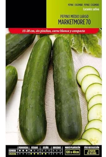 Semillas de Pepino - Semillas Huerto Urbano - Variedad Marketmore - Fáciles de Germinar