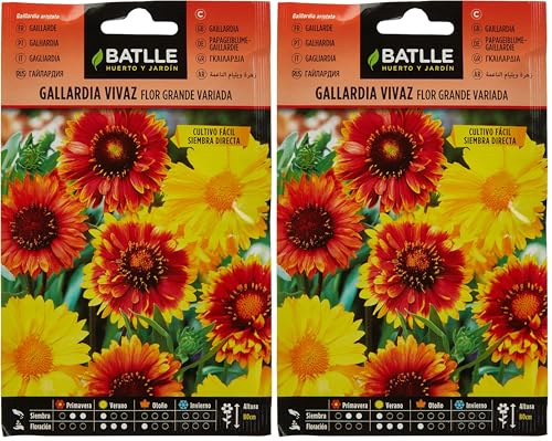 Batlle Gaillarde (Lot de 2)