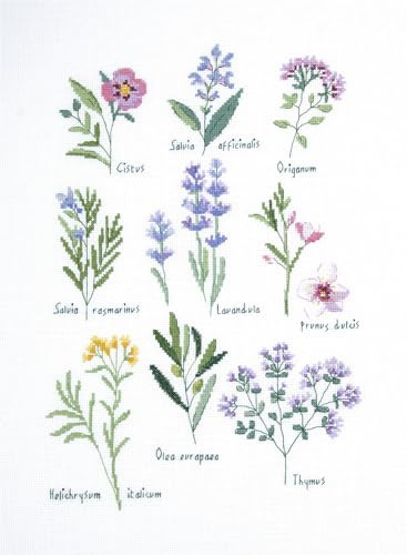 DMC Herbes Kreuzstich-Set