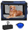 Kidken Dog Crate, Extra Large Pet Crate Collapsible Dog Travel Crates for Medium and Large Dogs, Foldable Dog Crates Car Dog Carrier Foldable Pet Cage (L: 76x54x54cm)