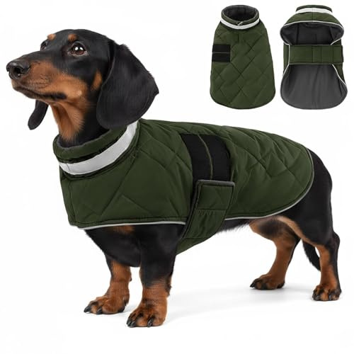 ASENKU Abrigo Impermeable XS para Perros Pequeños,Chaqueta Acolchada Cálida con Reflejantes para Chihuahua y Caniche,Cuello Alto Protector y Cierre de Velcro, Ideal para Nieve y Frío Exterior