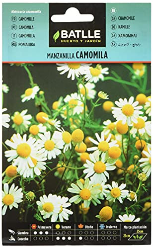 Semi di erbe di Batlle - Camomilla Camomila (Semi - 20-40cm)