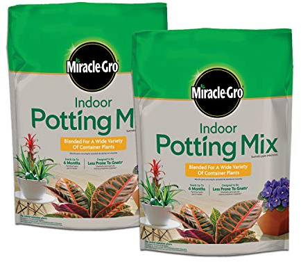 Miracle-Gro Indoor Potting Mix, Blended for a Variety of Houseplants, Feeds for up to 6 Months, 6 qt., 2-Pack