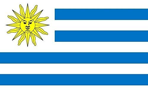 U24 Fahne Flagge Uruguay 60 x 90 cm