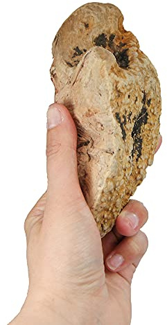 Schecker Kauwurzeln Gr: S - das Kauspielzeug - die Kauwurzeln für Hunde - Keine Kalorien - hypoallergen - natürlich - langlebig - 1 Stück - S - 125-250g