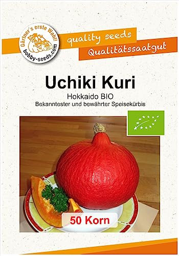 Uchiki Kuri BIO Kürbissamen von Bobby-Seeds 50 Korn