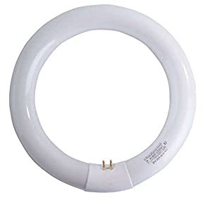 Circolina 32Watt T9 4Pin G10Q 4200K Lumen 2300