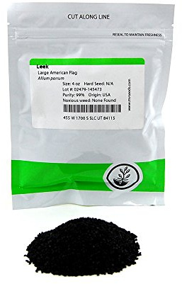 Large American Flag Leek Seeds: 4 Oz - Non-GMO Vegetable Garden Seeds, Growing Micro Greens