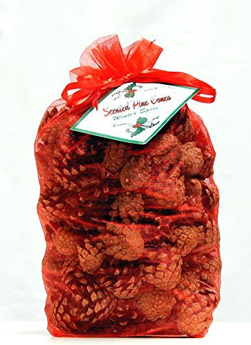 Scented Pine Cones by Milford Collection by Milford Collection