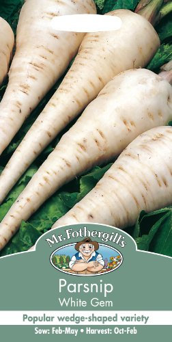 Mr Fothergill's Parsnip White Gem