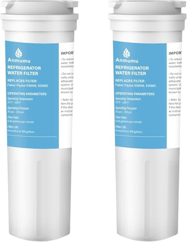 Lot de 2 filtres à eau pour réfrigérateur Fisher&Paykel 836860, 862285, 862284, E402, E442B, E522B, RO185014, RO185011