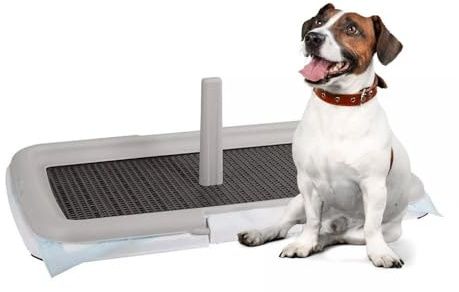 Paluplus Toilette Educativa per Animali, Misura 60x40 cm, tappetino con piedini antiscivolo e Torretta per Cani Maschi, Lettiera per Addestramento cuccioli cane e gatto -0600F