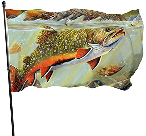 Drapeau de jardin en polyester résistant à la décoloration avec 2 œillets en laiton pour la pêche à la mouche et la truite de ruisseau de 91 x 152 cm