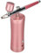 Shenruifa Nail Spray Paint Kit, Portable Rechargeable Cordless Professional Art Tool Pneumatic Tool 3 Speed 1200MA 30PSI Fast Drying