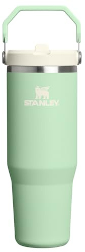 STANLEY IceFlow 2.0 Flip Straw Tumbler with Handle 30 oz | Twist On Lid and Flip Up Straw | Leak Resistant Water Bottle | Insulated Stainless Steel | BPA-Free | Pistachio
