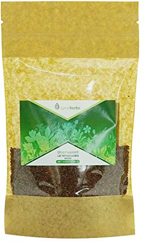 Mimosa Pudica Semillas Secas, 100g