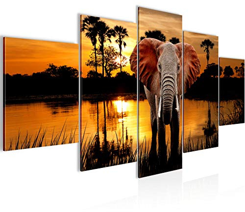 Afrika Elephant Bild icke-vävd dukbild 5 Delar Panorama Savannen Orange Sovrum hall 001953a