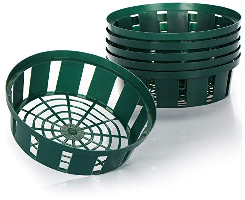 com-four® 6x Planting Baskets for Bulbs, Planting Bowl for Growing and Storing Bulbous Plants, Small Green Onion Basket (06x planting bowl - 22cm)