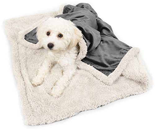 Kritter Planet Dog Blankets for Small Dogs, Soft Puppy Blanket, Pet Blankets for Cats, Lightweight & Washable, Perfect for Dog Beds, Car Seats, Creat, 30x40 inches