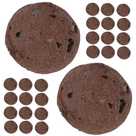 FUNOMOCYA Roches Succulentes Argile Naturel Pour Jardinières De Cactus Bonsaïs Et Plantes Intérieur Galets Décoratifs Pour Pots De Fleurs