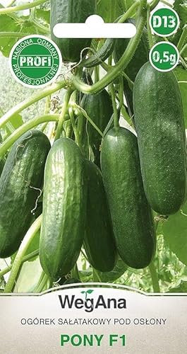WegAna Concombre Pony F1 Graines 0,5g Concombre Vert foncé Graines de légumes robustes Graines de culture Semences pour la serre