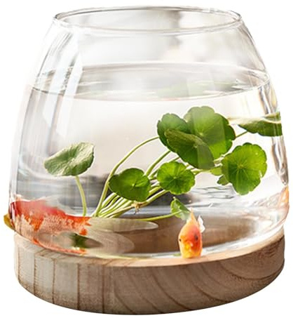 Vaso trasparente per pesci con base in legno - Vaso per piante idroponiche | Centrotavola con vasi di fiori, acquario ecologico | di vetro decorativa per decorazioni per la casa di eventi di n