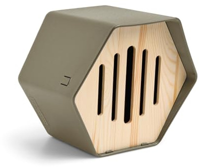 Capi Europe - Casa para Mariposas Hive - 19x23x20 - Verde - CAPI Biodiversity Hive - AHBUG001