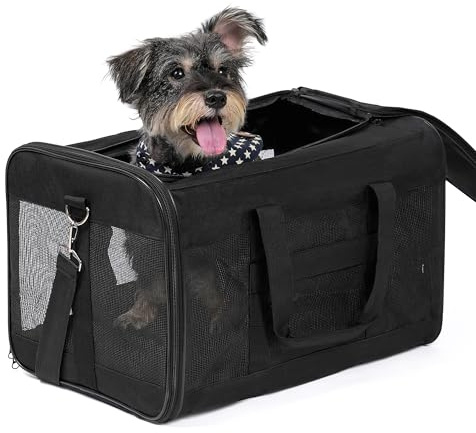 Conlun Black Soft-Sided Dog Carrier, Large Cat Carrier with Inner Safety Leash, Pet Transport Carrier for Large Cats and Medium Dogs up to 10 KG, Collapsible Travel Puppy Carrier Bag - Black, L
