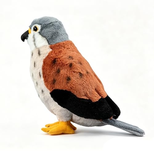 Peluche Falco Falco rosso super morbido da collezione peluche Interessante uccello compagno per coccole pisolini e decorazioni per la casa regalo per bambini Halloween Natale bambine e bambini - 25cm