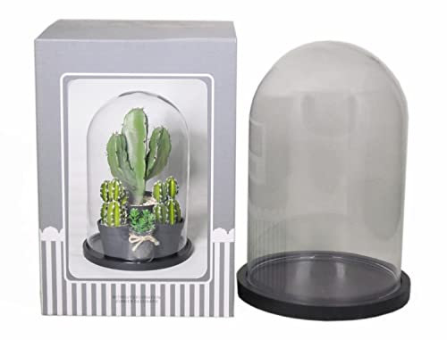 innaGLAS Cloche en Verre SABIKA avec Socle en Bois Noir, Transparent, 22 cm, Ø 14 cm - Dôme en Verre