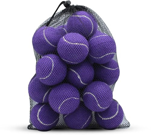 SHYUJAJIE Lot de 20 balles de tennis d'entraînement à haute élasticité pour débutants, exercice pour chien (violet)