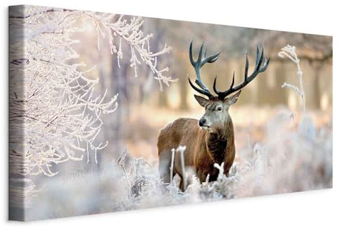 murando - Quadro Acustico Foresta 60x30 cm 1 Pezzo - Stampa su Tela Schiuma Acustica - Quadri Fonoassorbenti Decorativi Moderni - Protezione dai Rumori Camera da Letto - Amantidiso g-C-0065-b-b