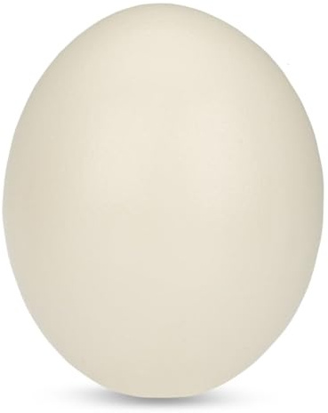 NaDeco Straußenei aus Polystone (Künstlich)– großes Osterei naturgetreu 15x12 cm – wetterfeste Osterdeko für Innen & Außen – Deko Ei für Frühling, Schale, Vase, Tisch oder Gartenㅤ