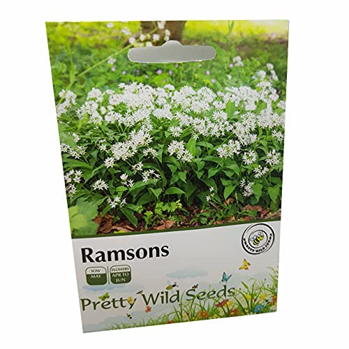 Ramsons Wild Garlic Herb Seeds in Pictorial Packet