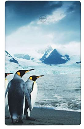 Nette Pinguine nehmen Bilder gedruckte dekorative Schalter-Wandpaneel, verwendet für elektrische Wandpaneele von Küchen- und Schlafzimmerschaltern