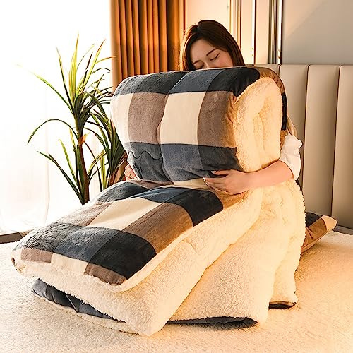 DEZYPZAM Couette en Velours de Laine d'agneau en Coton, Épaisse et Chaude Cachemire Édredon, Anti-poussière et Anti-Allergique Au Printemps Hiver et Automne (Plaid,200x230cm (4kg))