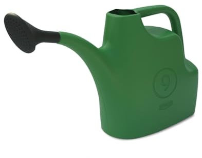 ANNAFFIATOIO VERDE LITRI 9