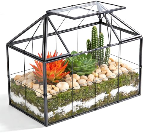 Mini invernadero para ventana, cristal, plantas, terrario, pequeño jardín de botellas DIY
