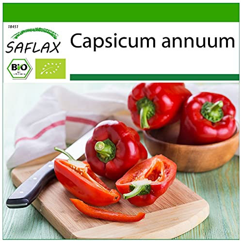 SAFLAX - BIO - Poivron - California wonder - Rouge - 20 graines - Avec substrat de culture aseptique - Capsicum annuum