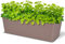 Albert Austin Rectangle Rattan Planter 30cm, Outdoor Plants Pot, Large Garden Planters, Plastic Resistant and Elegant (SAND)