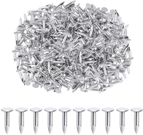 Rustark 300 chiodi in feltro galvanizzati da 3/4 di pollice da 20 mm, chiodi per asfalto, chiodi in cemento per riparazione di tetti, piastrelle di asfalto, paesaggistica