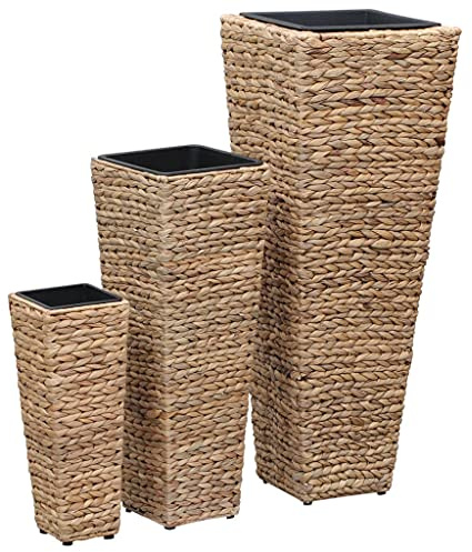 Sophrelle Conjunto de arriates 3 Piezas Jacinto de Agua marrón Marrón,45568