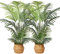 Kazeila Kunstpflanzen Groß 120cm Künstliche Palme Pflanzen Fake Pflanzen Plastik Kunstpalme Pflanze Deko für Home Wohnzimmer Schlafzimmer(2PACK)