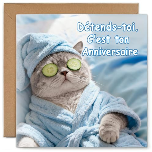 YISCOKO Carte Anniversaire Carte Anniversaire Femme Homme Fille Petite Amie Collègue Motif Chat Relax avec Enveloppe