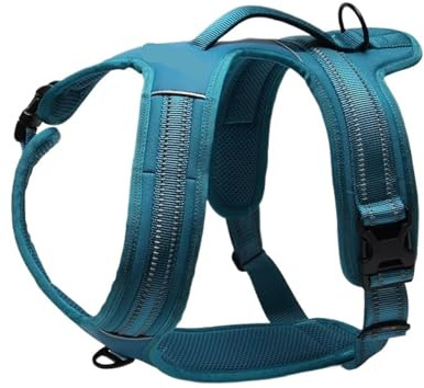 Arnés de Nailon for Perros Anti-tirón Ajustable Moda(Blue,L)