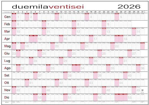 Calendario 2026 Caselle Planning giornaliero da muro MAXI 118x84 cm annuale - SPEDITO ARROTOLATO SENZA PIEGHE