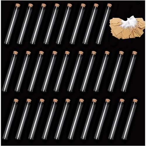 Reagenzglas,Dancepandas 40 Stück 20 * 150mm Reagenzglas mit Korken Kunststoff Reagenzgläser Transparent Reagenzglas,40 Stück Kraftpapieranhänger