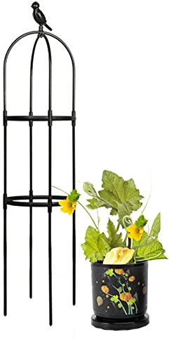Obelisco Gabbia di supporto per piante rampicanti in ferro battuto, traliccio per interni ed esterni, da giardino, elegante design nero, dimensioni: 24 cm